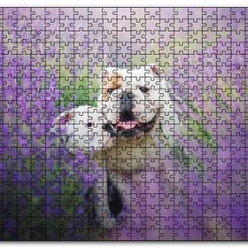 Cakapuzzle Lavantalar Arasında Bulldoglar Mdf 1000 Parça Puzzle