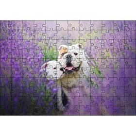 Cakapuzzle Lavantalar Arasında Bulldoglar Mdf 120 Parça Puzzle