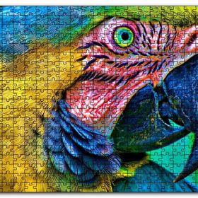 Cakapuzzle Macaw Papağanı Rengarenk Başı Yakın Plan Mdf 1000 Parça Puzzle