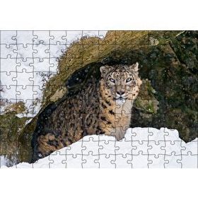 Cakapuzzle Mağara Ağzında Kar Leoparı 120 Parça Ahşap Puzzle