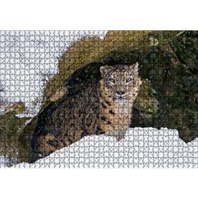 Cakapuzzle Mağara Ağzında Kar Leoparı Mdf 1000 Parça Puzzle