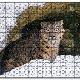 Cakapuzzle Mağara Ağzında Kar Leoparı Mdf 120 Parça Puzzle