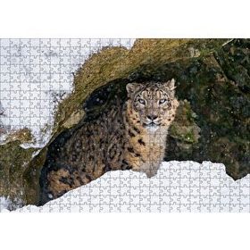 Cakapuzzle Mağara Ağzında Kar Leoparı Mdf 500 Parça Puzzle