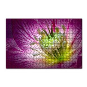 Cakapuzzle Makro Closeup Helleborus Çiçek Görseli 120 Parça Ahşap Puzzle