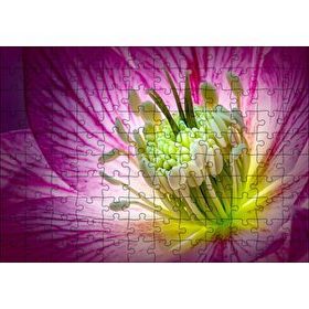 Cakapuzzle Makro Closeup Helleborus Çiçek Görseli 120 Parça Ahşap Puzzle