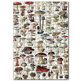 Cakapuzzle Mantar Türleri Botanik Şema Mdf 120 Parça Puzzle