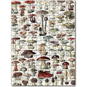 Cakapuzzle Mantar Türleri Botanik Şema Mdf 120 Parça Puzzle