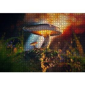 Cakapuzzle Mantar ve Örümcek Makro Mdf 1000 Parça Puzzle