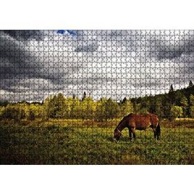 Cakapuzzle Manzara At Orman 120 Parça Ahşap Puzzle