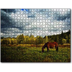 Cakapuzzle Manzara At Orman 500 Parça Puzzle