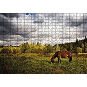 Cakapuzzle Manzara At Orman 500 Parça Puzzle