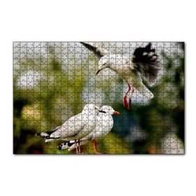 Cakapuzzle Martılar Kıyameti Kopmak Üzere Puzzle