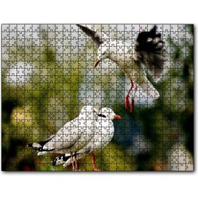 Cakapuzzle Martılar Kıyameti Kopmak Üzere Puzzle