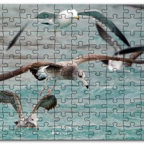 Cakapuzzle Martılar ve Dalgalı Deniz Arkaplan Mdf 500 Parça Puzzle