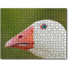 Cakapuzzle Mavi Gözlü Kaz Yakın Plan Mdf 500 Parça Puzzle