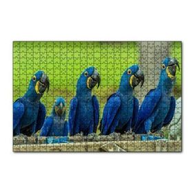 Cakapuzzle Mavi Macaw Papağanları 120 Parça Ahşap Puzzle