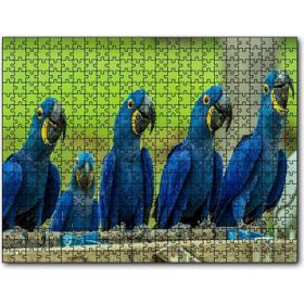 Cakapuzzle Mavi Macaw Papağanları 255 Parça Puzzle