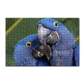 Cakapuzzle Mavi Macaw Papağanları Çift 120 Parça Ahşap Puzzle