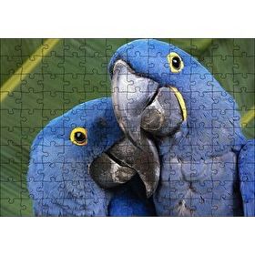 Cakapuzzle Mavi Macaw Papağanları Çift 120 Parça Ahşap Puzzle