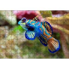 Cakapuzzle Mavi Mandarin Balığı 120 Parça Ahşap Puzzle