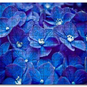 Cakapuzzle Mavi Taç Yapraklı Çiçekler ve Beyaz Tohumları Mdf 120 Parça Puzzle