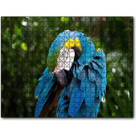 Cakapuzzle Mavi Tüylü Papağan 255 Parça Puzzle