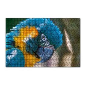 Cakapuzzle Mavi ve Sarı Macaw Papağanı Yakın Plan 120 Parça Ahşap Puzzle