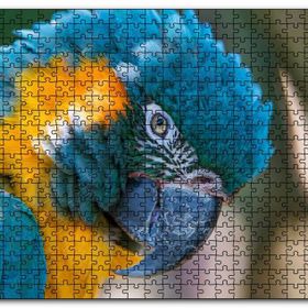 Cakapuzzle Mavi ve Sarı Macaw Papağanı Yakın Plan Mdf 120 Parça Puzzle