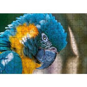 Cakapuzzle Mavi ve Sarı Macaw Papağanı Yakın Plan Mdf 120 Parça Puzzle