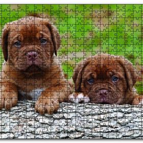 Cakapuzzle Meksika Yavru Köpekler Görseli Ahşap 1000 Parça Puzzle