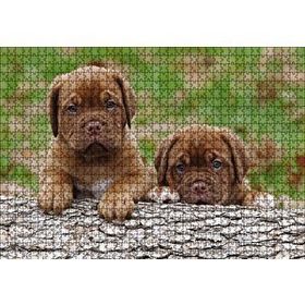Cakapuzzle Meksika Yavru Köpekler Görseli Ahşap 1000 Parça Puzzle