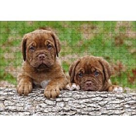 Cakapuzzle Meksika Yavru Köpekler Görseli Ahşap 255 Parça Puzzle