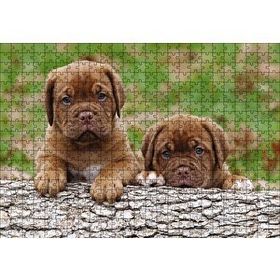 Cakapuzzle Meksika Yavru Köpekler Görseli Ahşap 500 Parça Puzzle