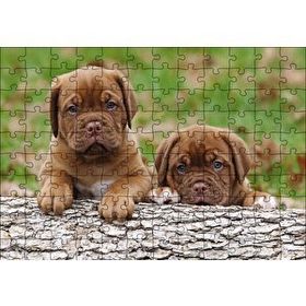Cakapuzzle Meksika Yavru Köpekler Görseli Mdf 120 Parça Puzzle