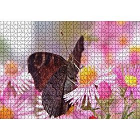 Cakapuzzle Mor Çiçeklerin Üzerindeki Kahverengi Kelebek 120 Parça Ahşap Puzzle