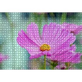 Cakapuzzle Mor Kosmeya Çiçekler Görseli 120 Parça Ahşap Puzzle
