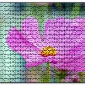 Cakapuzzle Mor Kosmeya Çiçekler Görseli Mdf 120 Parça Puzzle