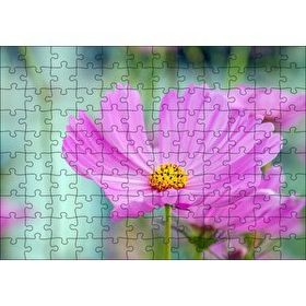 Cakapuzzle Mor Kosmeya Çiçekler Görseli Mdf 120 Parça Puzzle
