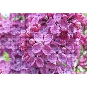 Cakapuzzle Mor Orkideler Görseli 120 Parça Ahşap Puzzle