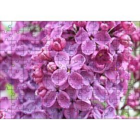 Cakapuzzle Mor Orkideler Görseli 120 Parça Ahşap Puzzle