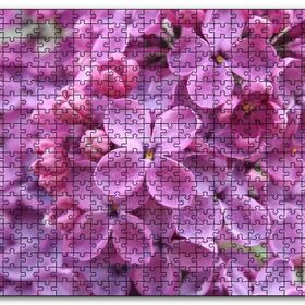 Cakapuzzle Mor Orkideler Görseli Mdf 1000 Parça Puzzle