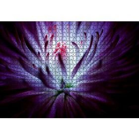 Cakapuzzle Mor Papatya Makro Çekim 120 Parça Ahşap Puzzle