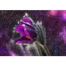 Cakapuzzle Mor Papatya Yağmur Damlaları ve Güneş Işığı 120 Parça Puzzle
