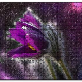 Cakapuzzle Mor Papatya Yağmur Damlaları ve Güneş Işığı Mdf 500 Parça Puzzle