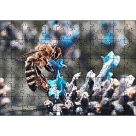 Cakapuzzle Mor Siyah Çiçekten Polen Toplayan Arı Mdf 120 Parça Puzzle