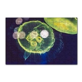 Cakapuzzle Muhteşem Güzellikte Mavi Yeşil Denizanası 120 Parça Ahşap Puzzle