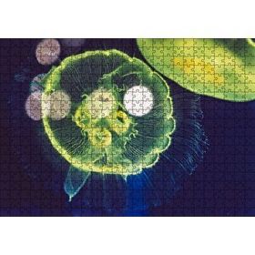 Cakapuzzle Muhteşem Güzellikte Mavi Yeşil Denizanası 120 Parça Ahşap Puzzle