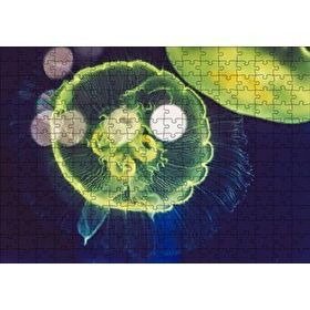 Cakapuzzle Muhteşem Güzellikte Mavi Yeşil Denizanası 120 Parça Ahşap Puzzle
