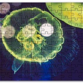 Cakapuzzle Muhteşem Güzellikte Mavi Yeşil Denizanası Mdf 1000 Parça Puzzle