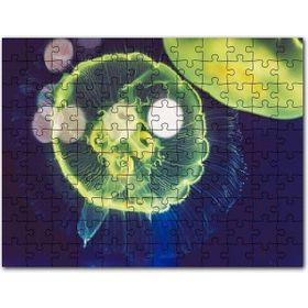 Cakapuzzle Muhteşem Güzellikte Mavi Yeşil Denizanası Mdf 1000 Parça Puzzle